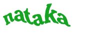 Travel with the Safari Experts