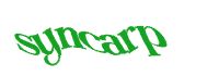 Travel with the Safari Experts